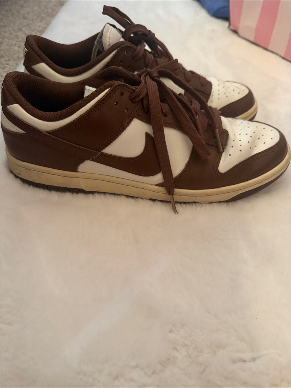 Nike Dunks women’s Brown and White Low-Top